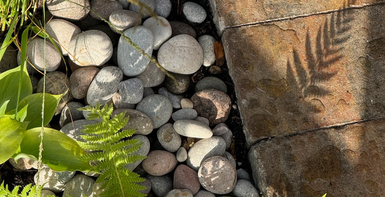 Beach pebbles for garden