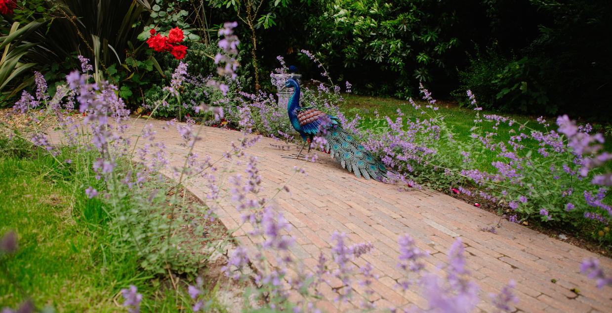 Cover Images Website (26)