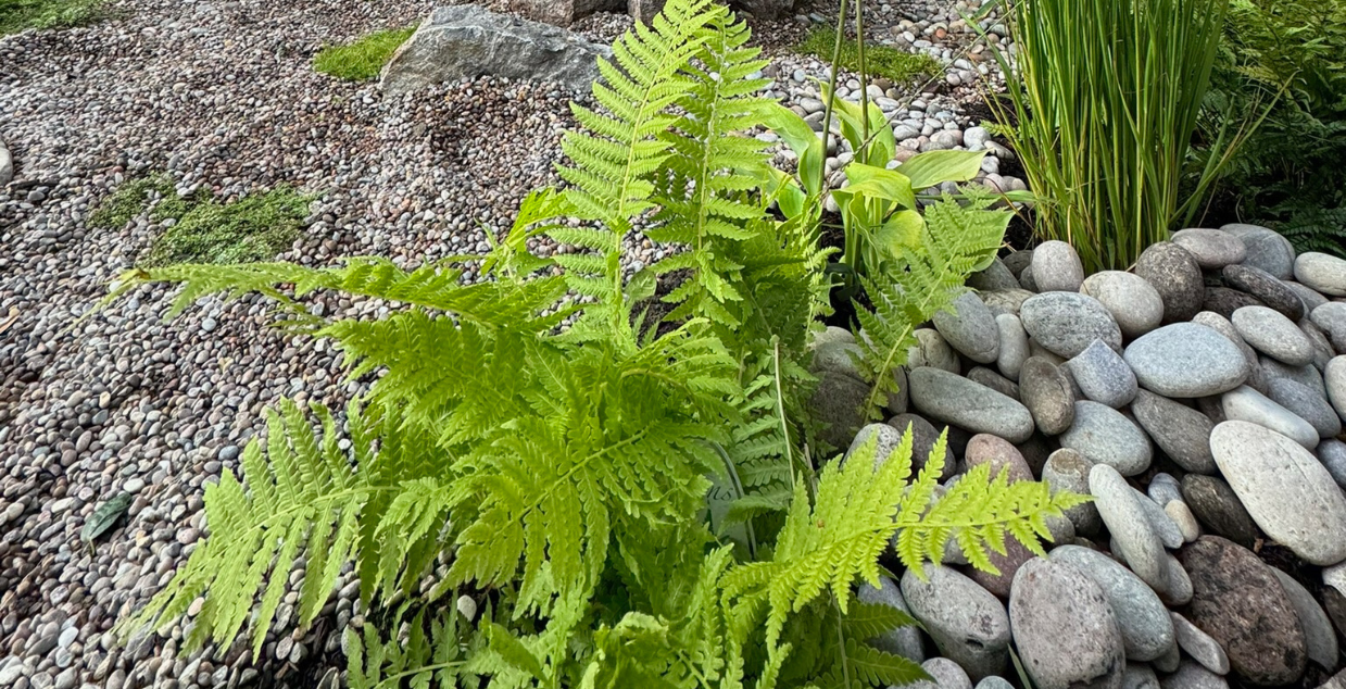 decorative stone for gardens