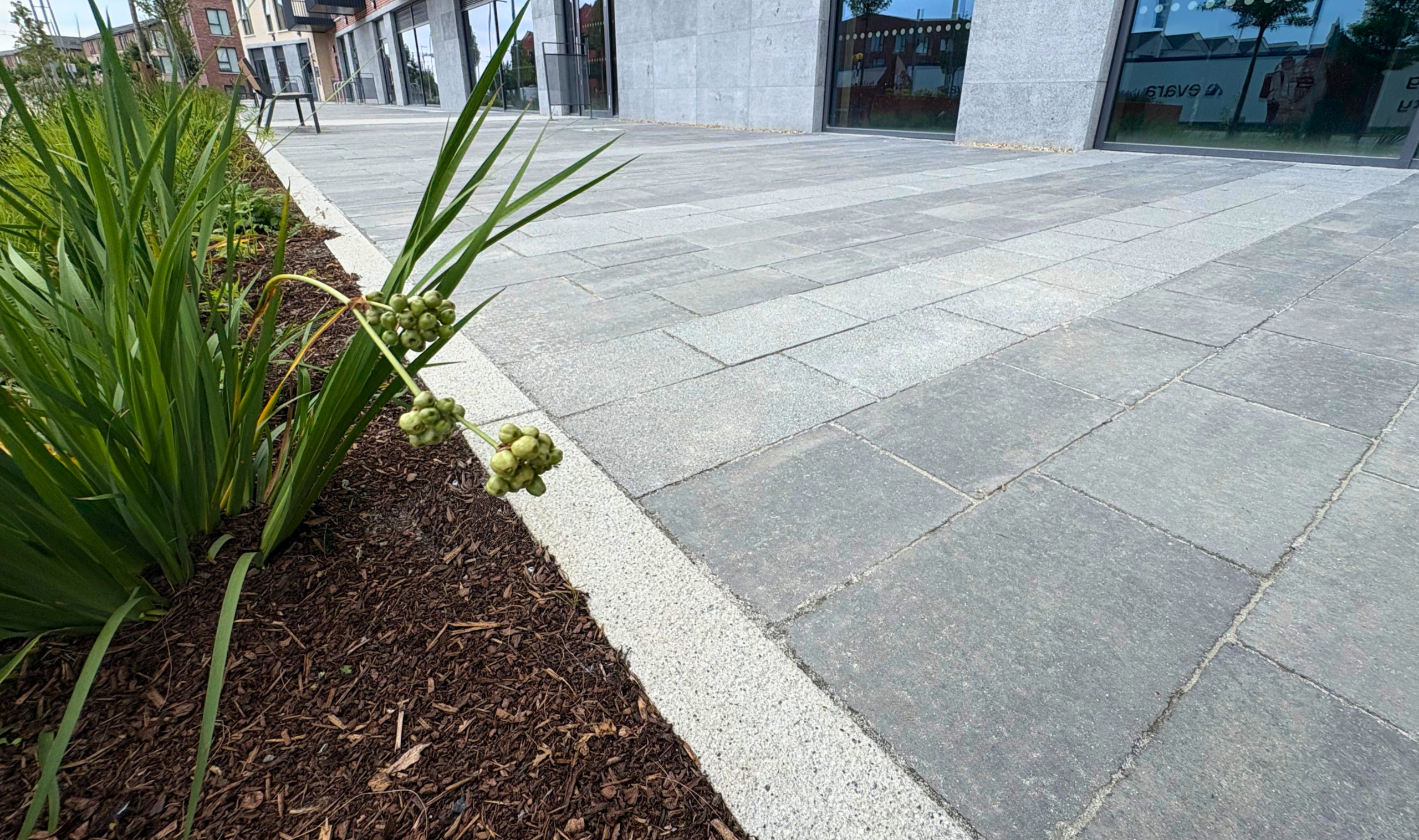tara kerb flushed on street