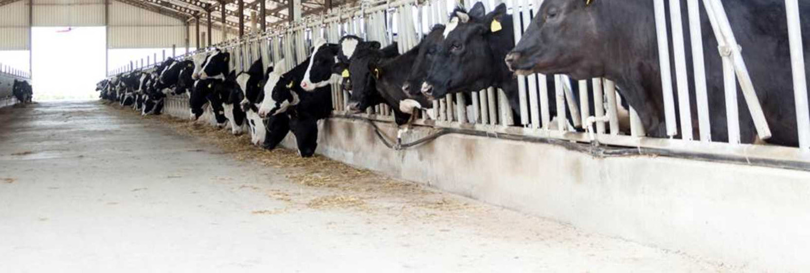 Agri-Crete-Cover-Image-1