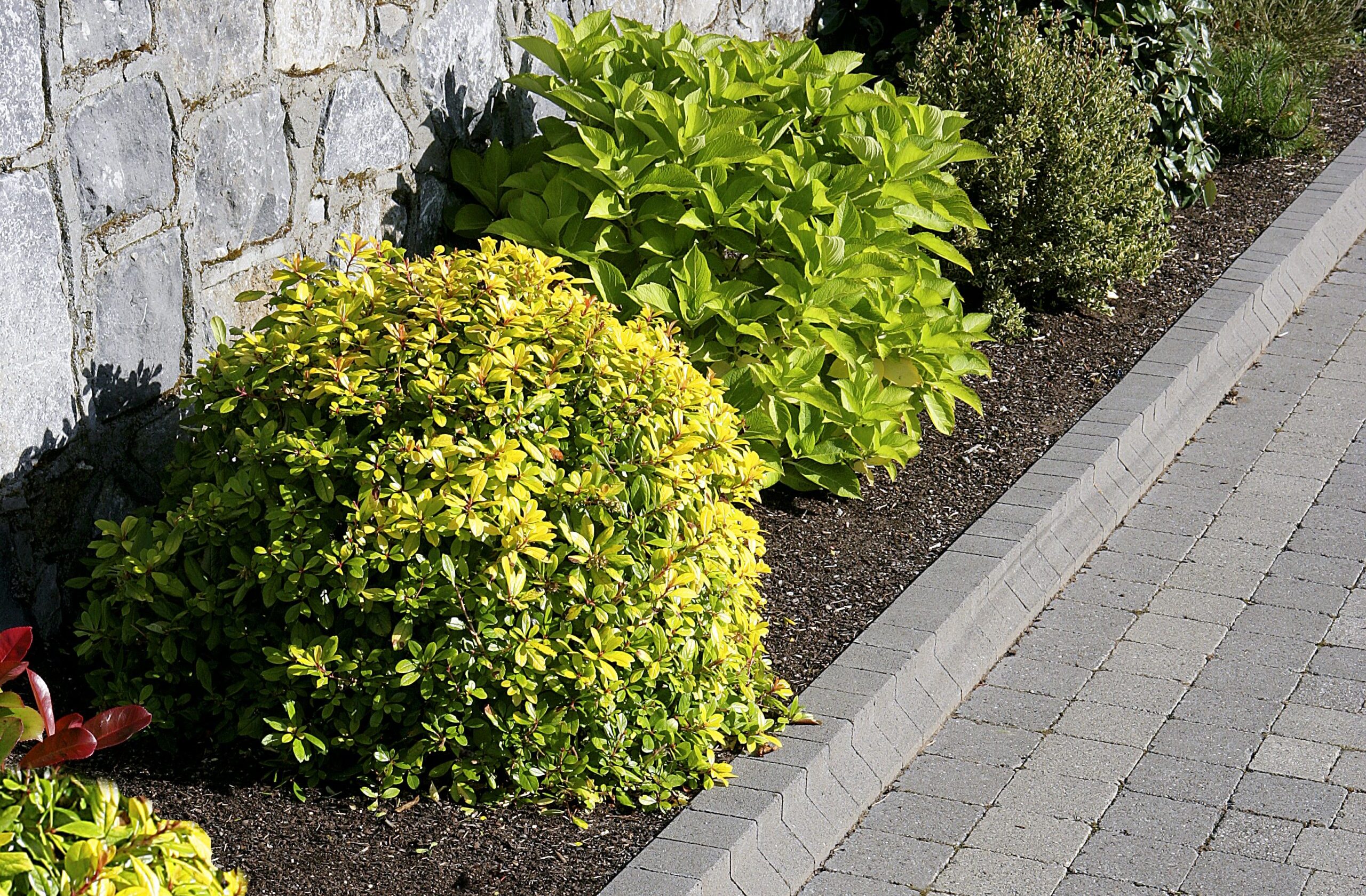 KERB_SETTS_CHARCOAL