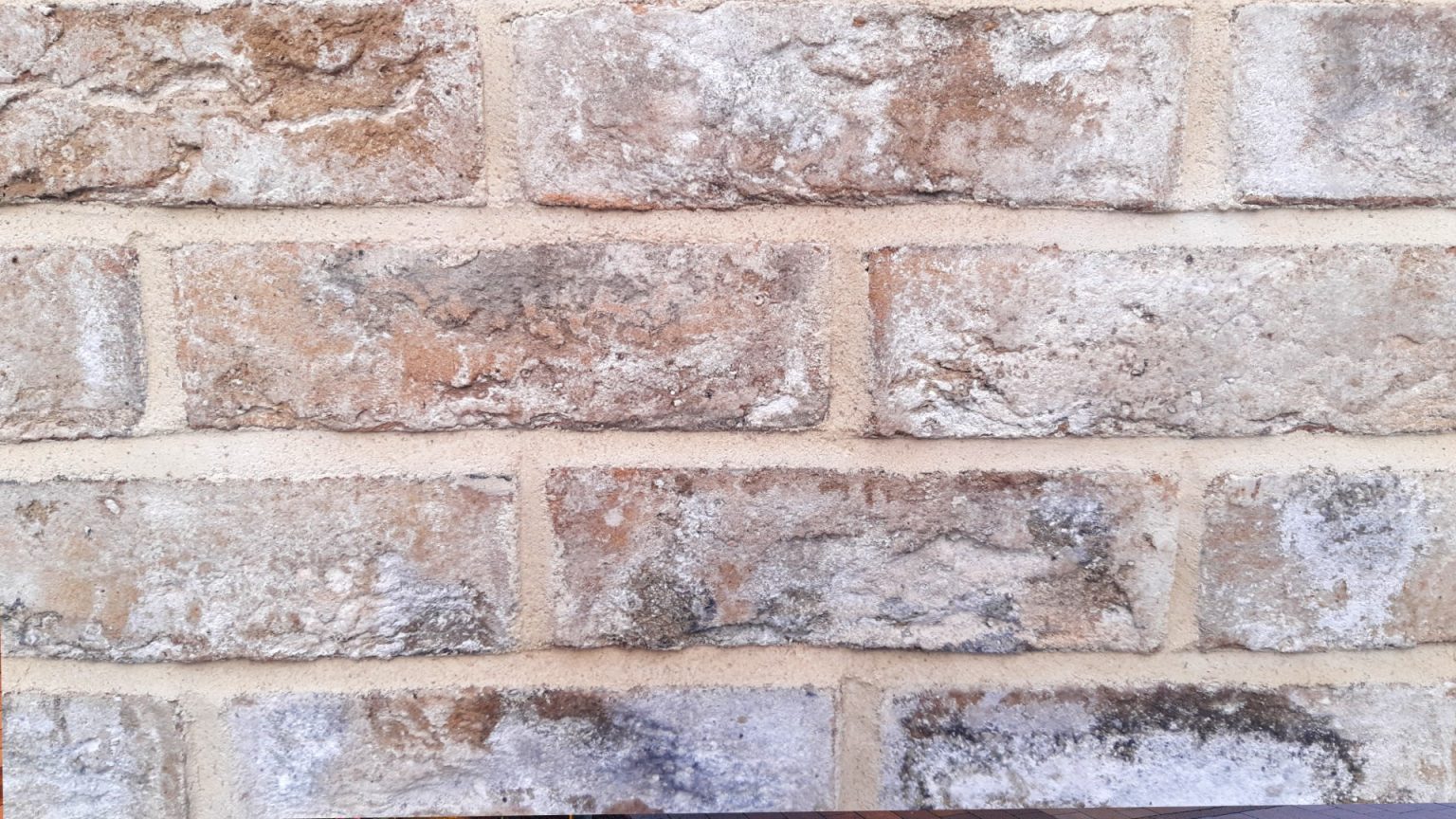 Monertry-Slider-4-1536x864