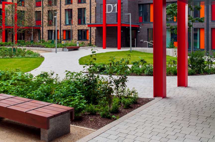 UCD-