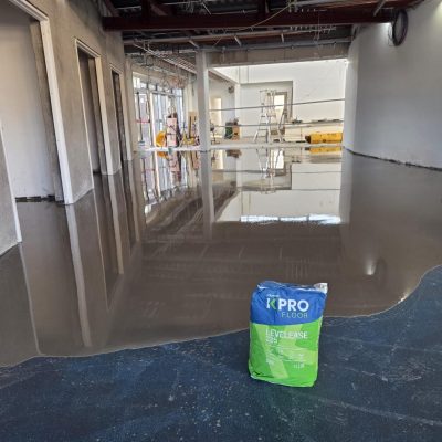 6f3e3553-dba0-4c48-9995-aa8b7df9a9c3