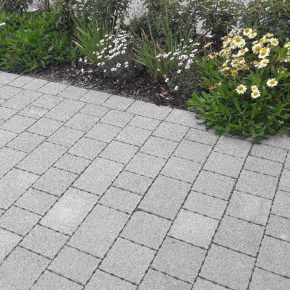 Edenbrook-Case-Study-1536x1025