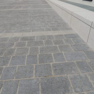 Mellifont-Charc-3-size-Garda-HQ-Galway-33-min