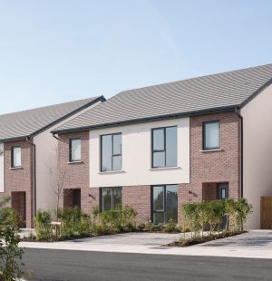 Sorrel-Wood-5-scaled