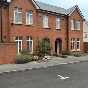 Untitled design (66)