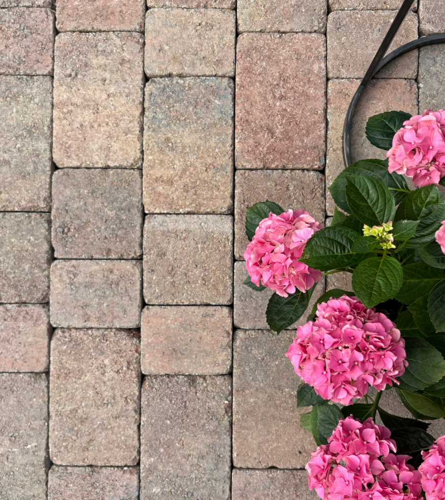 mellifont cobbles rustic edited11