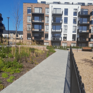 two-oaks-3-e1750159382639